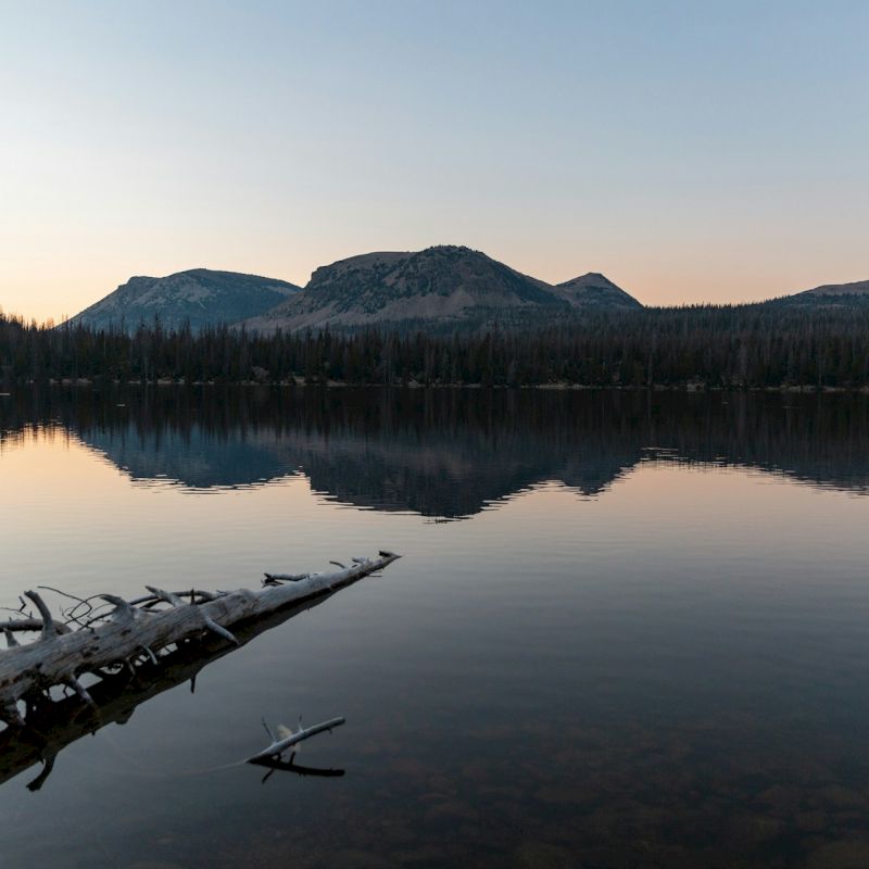 Calm lake reflecting mountains and trees at sunset with a fallen log in the foreground, creating a serene and tranquil scene.