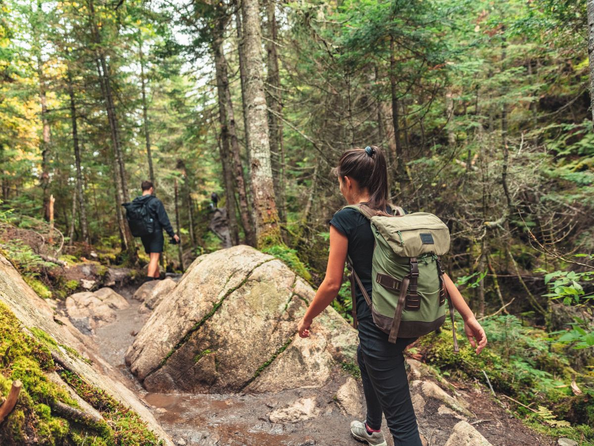 Two people are hiking in a forested area, navigating a rocky path surrounded by lush green trees and vegetation.