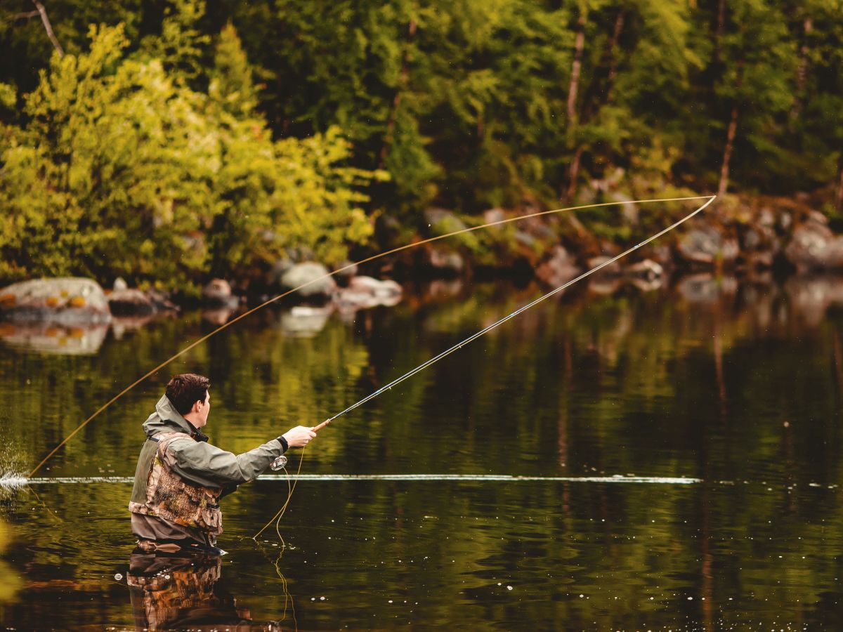 A person is fly fishing in a calm, wooded area, wading in the water and casting a long line in the serene environment.